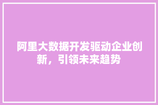 阿里大数据开发驱动企业创新，引领未来趋势  第1张