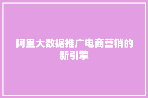 阿里大数据推广电商营销的新引擎