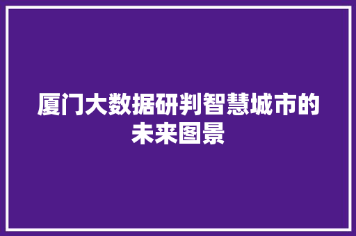 厦门大数据研判智慧城市的未来图景  第1张