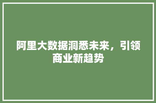 阿里大数据洞悉未来，引领商业新趋势  第1张