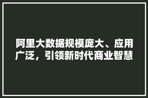 阿里大数据规模庞大、应用广泛，引领新时代商业智慧  第1张