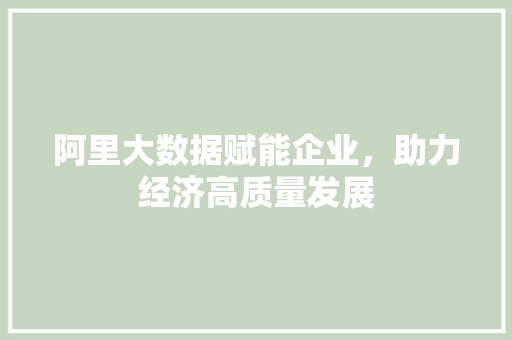 阿里大数据赋能企业，助力经济高质量发展  第1张