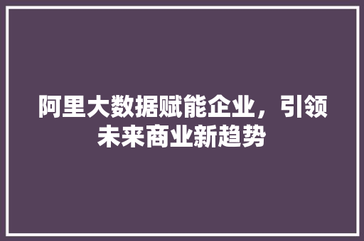 阿里大数据赋能企业，引领未来商业新趋势  第1张