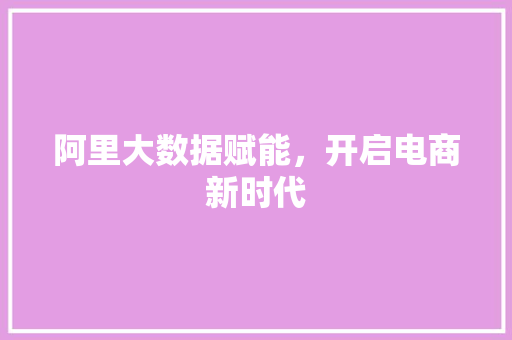 阿里大数据赋能，开启电商新时代
