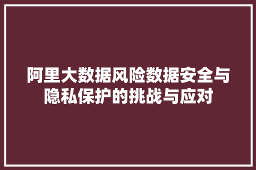 阿里大数据风险数据安全与隐私保护的挑战与应对