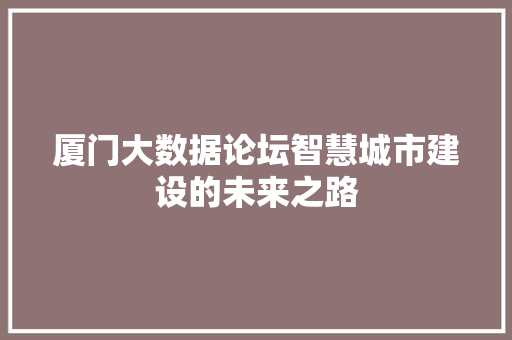 厦门大数据论坛智慧城市建设的未来之路  第1张