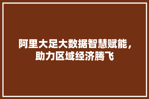 阿里大足大数据智慧赋能，助力区域经济腾飞