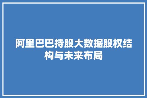 阿里巴巴持股大数据股权结构与未来布局