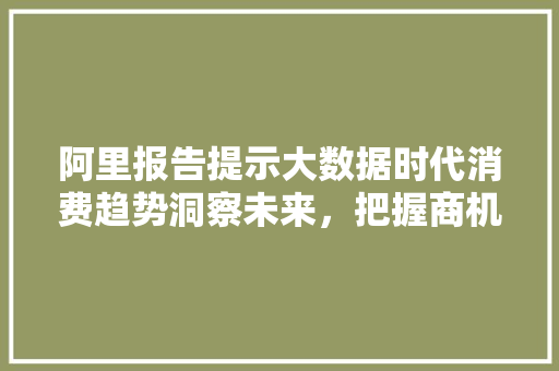 阿里报告提示大数据时代消费趋势洞察未来，把握商机