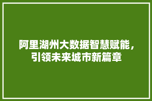 阿里湖州大数据智慧赋能，引领未来城市新篇章