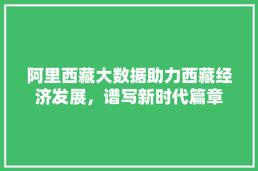 阿里西藏大数据助力西藏经济发展，谱写新时代篇章  第1张