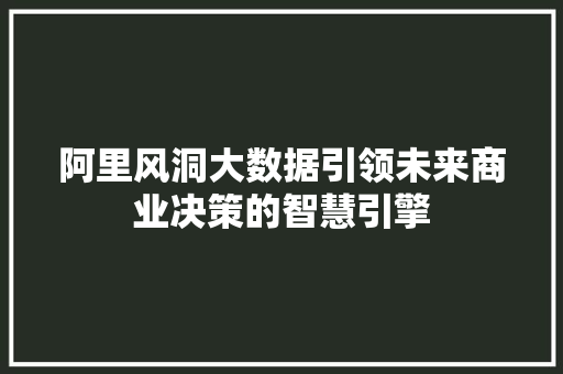 阿里风洞大数据引领未来商业决策的智慧引擎  第1张