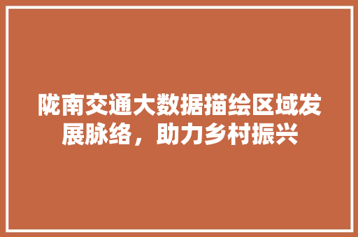 陇南交通大数据描绘区域发展脉络，助力乡村振兴