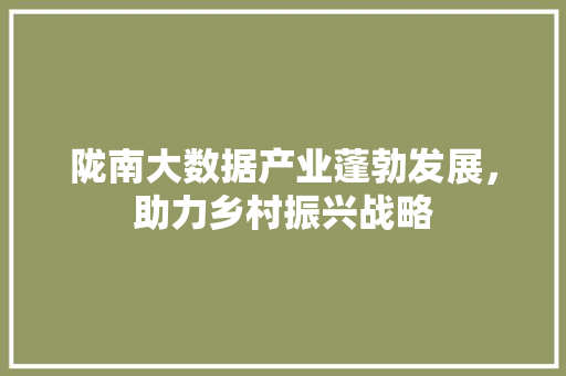 陇南大数据产业蓬勃发展，助力乡村振兴战略  第1张