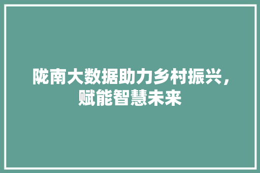陇南大数据助力乡村振兴，赋能智慧未来  第1张