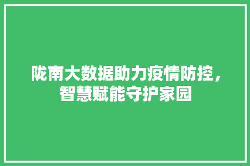 陇南大数据助力疫情防控，智慧赋能守护家园  第1张