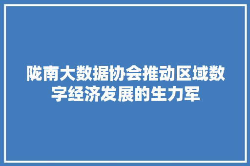 陇南大数据协会推动区域数字经济发展的生力军  第1张