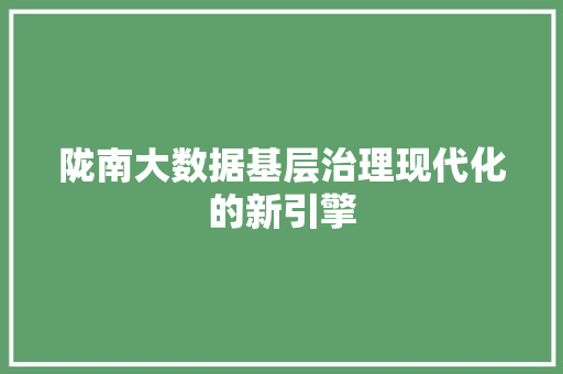 陇南大数据基层治理现代化的新引擎
