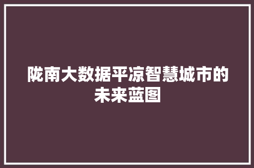 陇南大数据平凉智慧城市的未来蓝图