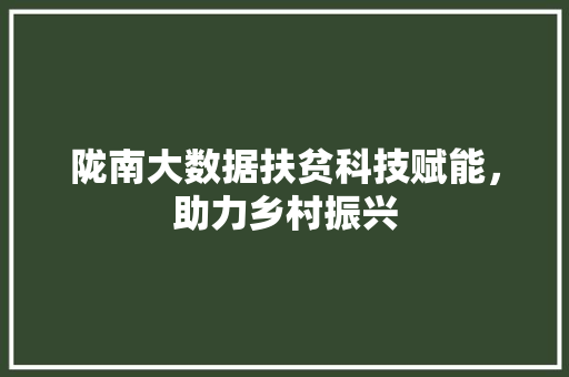 陇南大数据扶贫科技赋能，助力乡村振兴