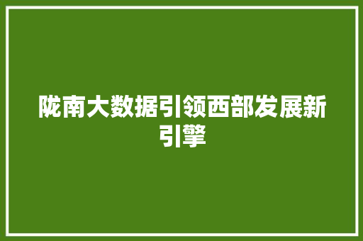 陇南大数据引领西部发展新引擎  第1张