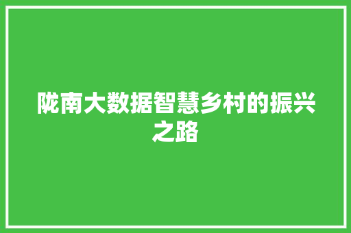 陇南大数据智慧乡村的振兴之路  第1张