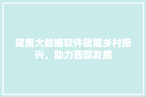 陇南大数据软件赋能乡村振兴，助力西部发展