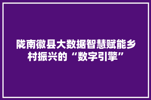 陇南徽县大数据智慧赋能乡村振兴的“数字引擎”
