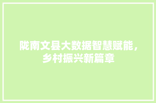 陇南文县大数据智慧赋能，乡村振兴新篇章  第1张