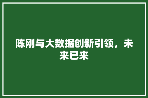 陈刚与大数据创新引领，未来已来