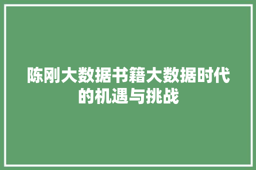 陈刚大数据书籍大数据时代的机遇与挑战  第1张
