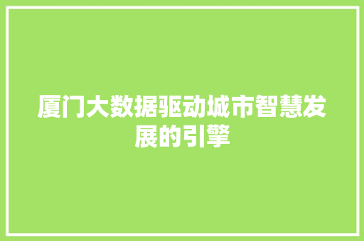 厦门大数据驱动城市智慧发展的引擎