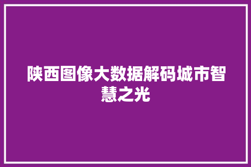 陕西图像大数据解码城市智慧之光  第1张
