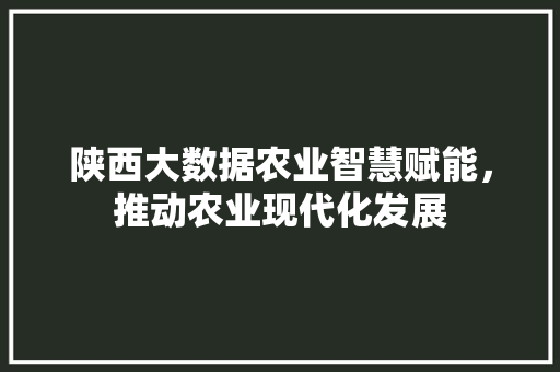 陕西大数据农业智慧赋能，推动农业现代化发展