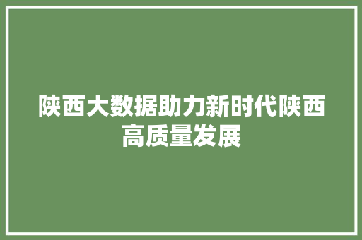 陕西大数据助力新时代陕西高质量发展  第1张