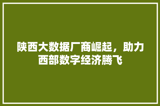陕西大数据厂商崛起，助力西部数字经济腾飞  第1张