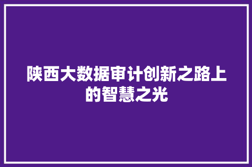 陕西大数据审计创新之路上的智慧之光  第1张