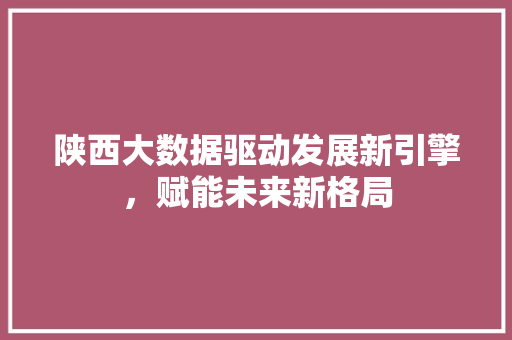 陕西大数据驱动发展新引擎，赋能未来新格局  第1张