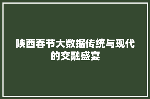 陕西春节大数据传统与现代的交融盛宴