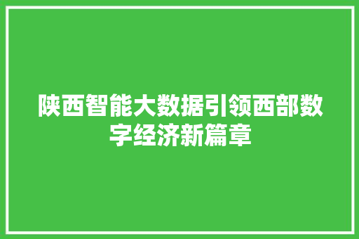 陕西智能大数据引领西部数字经济新篇章  第1张