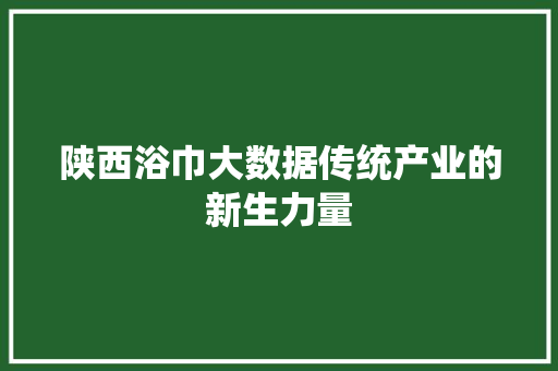 陕西浴巾大数据传统产业的新生力量  第1张