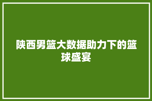 陕西男篮大数据助力下的篮球盛宴