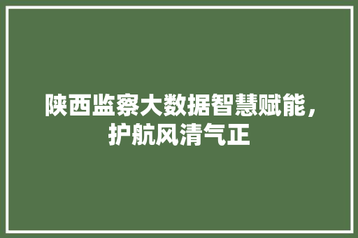 陕西监察大数据智慧赋能，护航风清气正
