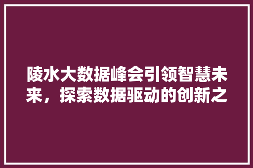 陵水大数据峰会引领智慧未来，探索数据驱动的创新之路