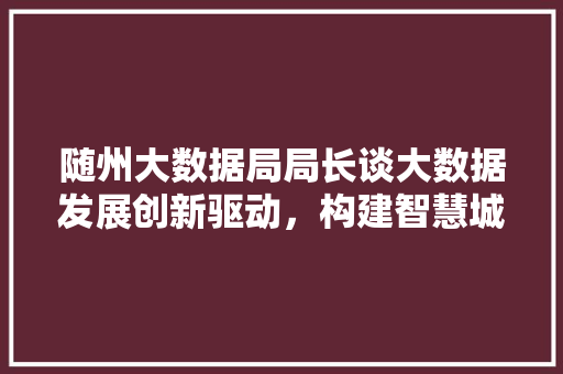 随州大数据局局长谈大数据发展创新驱动，构建智慧城市新格局  第1张