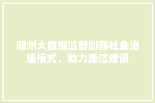 随州大数据监督创新社会治理模式，助力廉洁建设