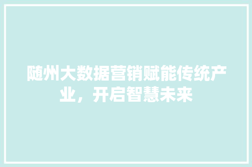 随州大数据营销赋能传统产业，开启智慧未来