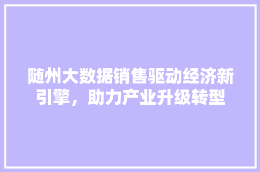 随州大数据销售驱动经济新引擎，助力产业升级转型