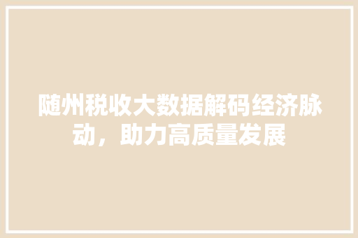 随州税收大数据解码经济脉动，助力高质量发展