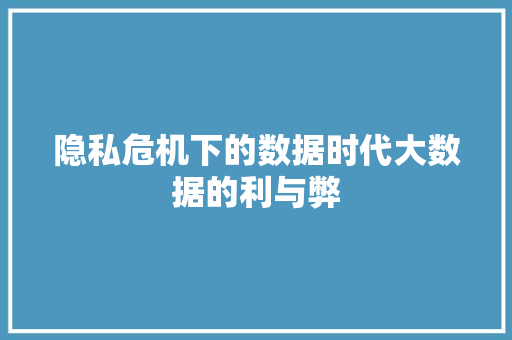 隐私危机下的数据时代大数据的利与弊